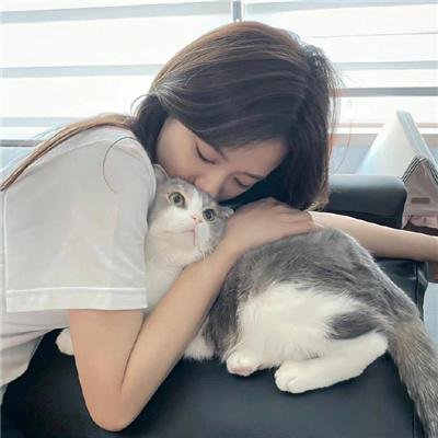梅格雷的陷阱